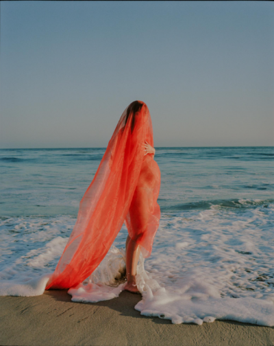 © Amy Harrity